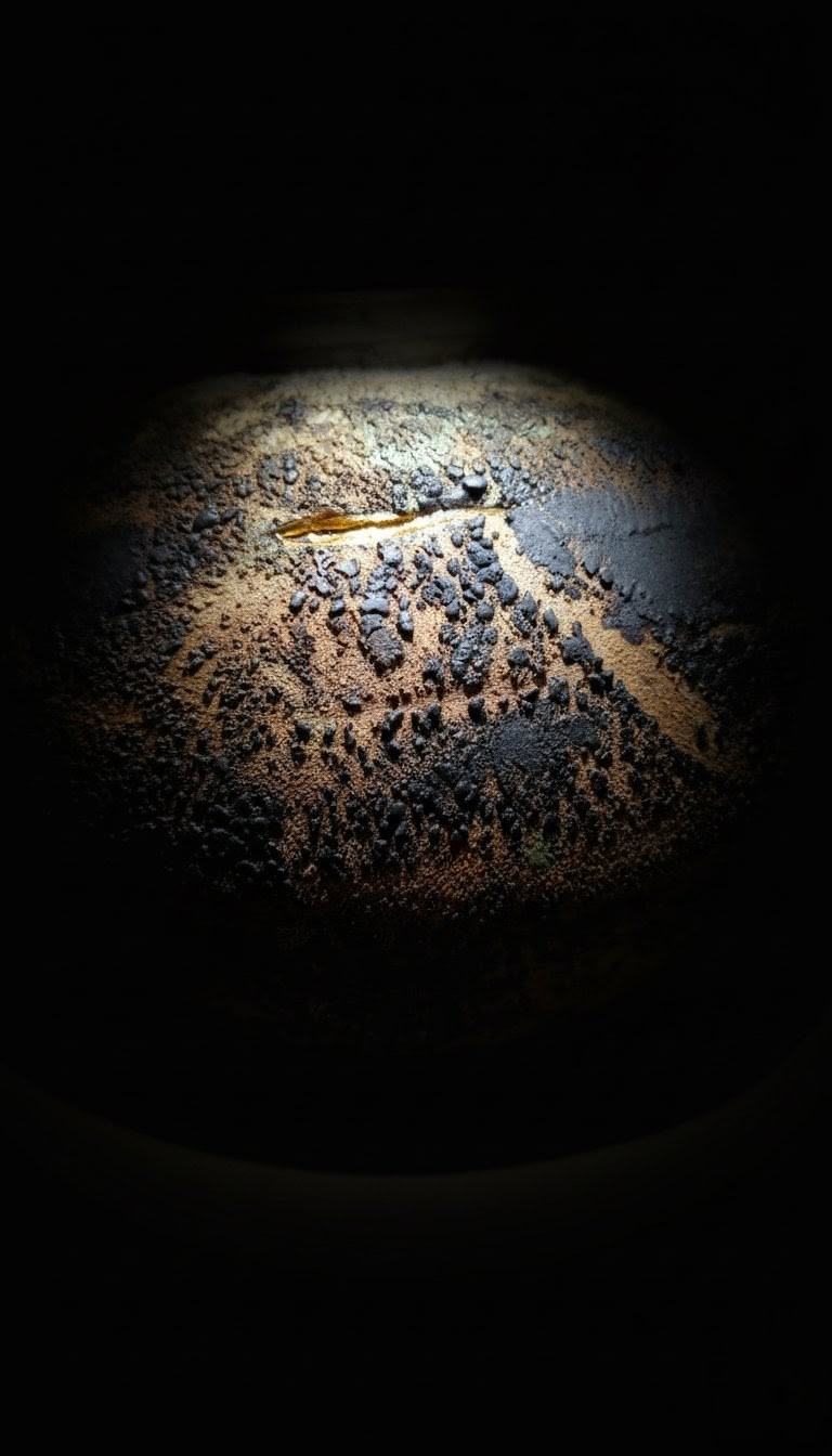 Charon - foto 2