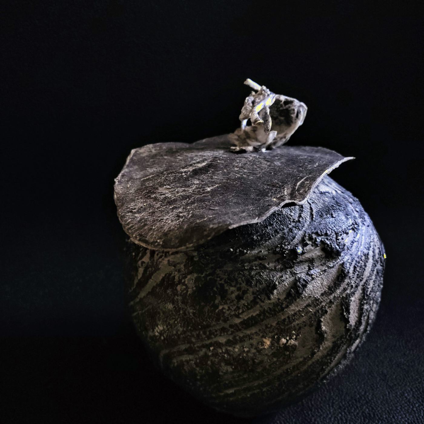 Driftwood - foto 5