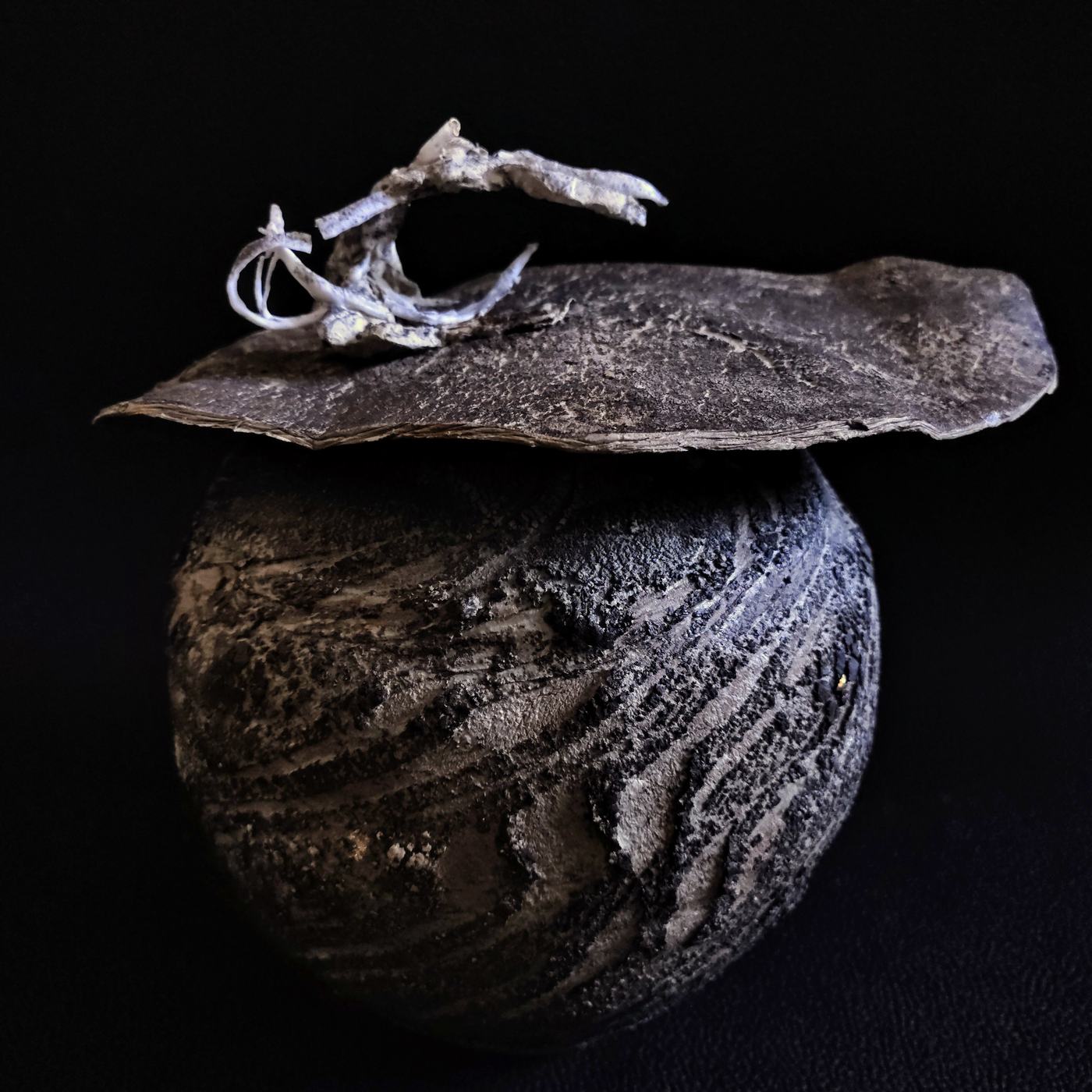 Driftwood, 2025