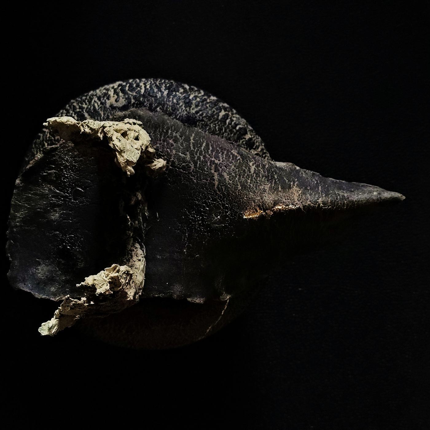 Pagan Vessel: Echoes of Ancestral Transformation 1