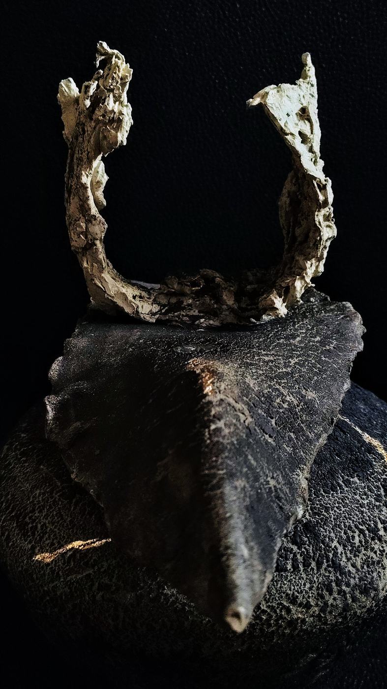 Pagan Vessel: Echoes of Ancestral Transformation 3