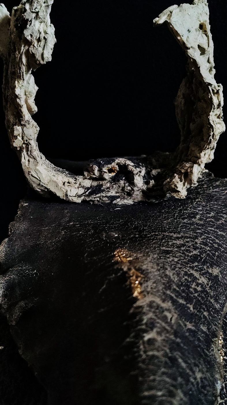 Pagan Vessel: Echoes of Ancestral Transformation 4