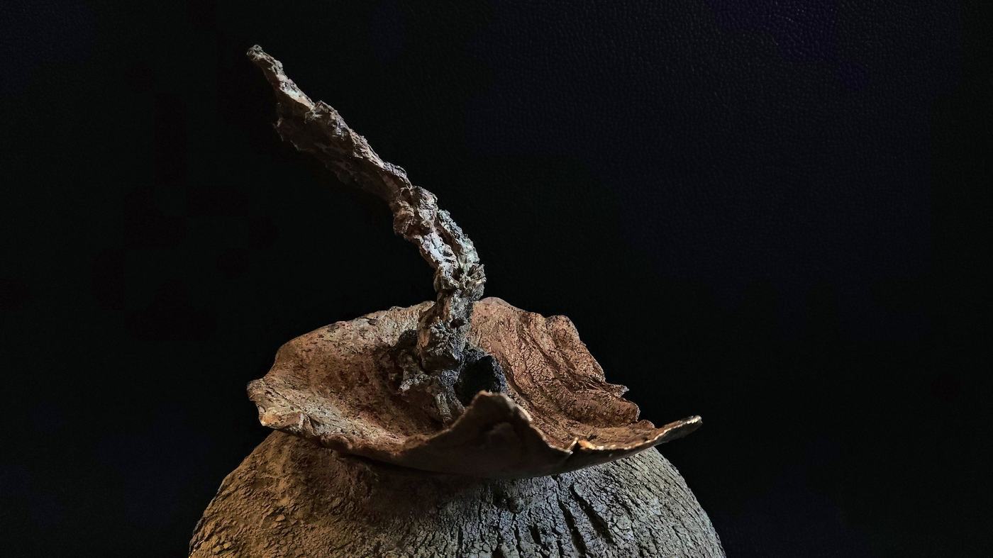 Echo's of Impermanence - foto 2