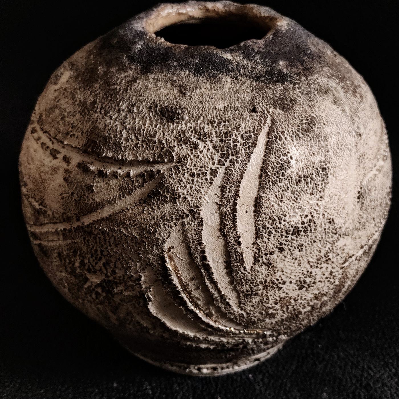 Icarus - foto 3