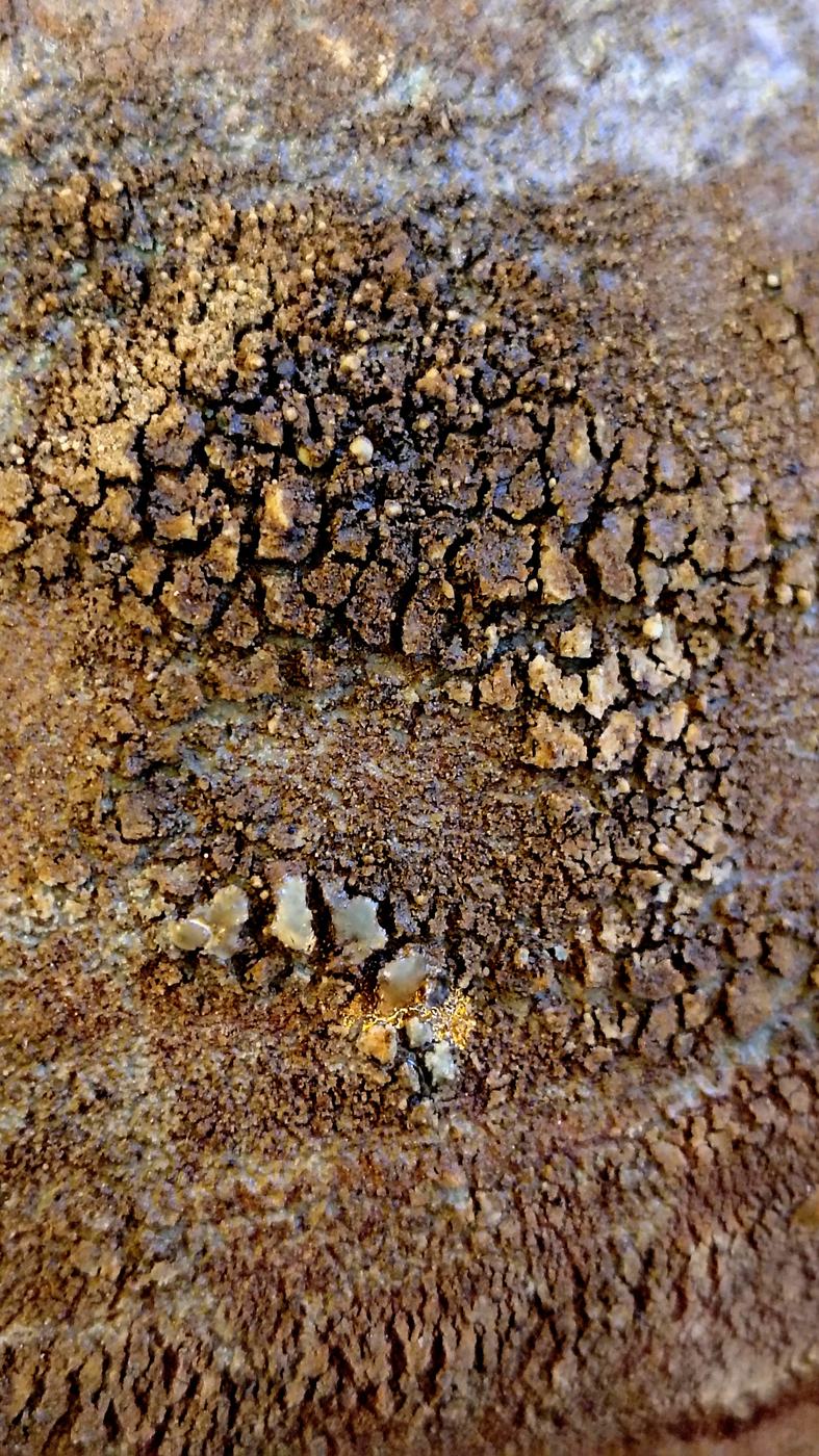 Self Inflicted - foto 1
