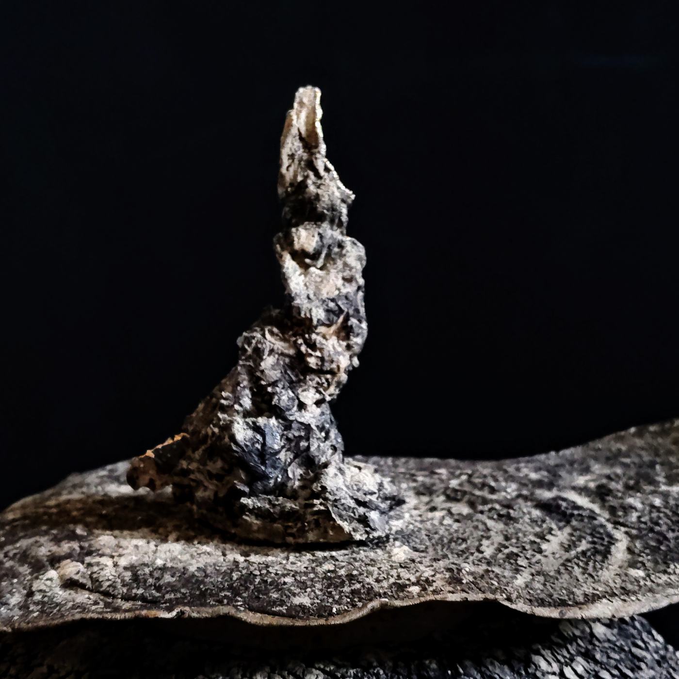 Skeleton – The Spine of Time 3